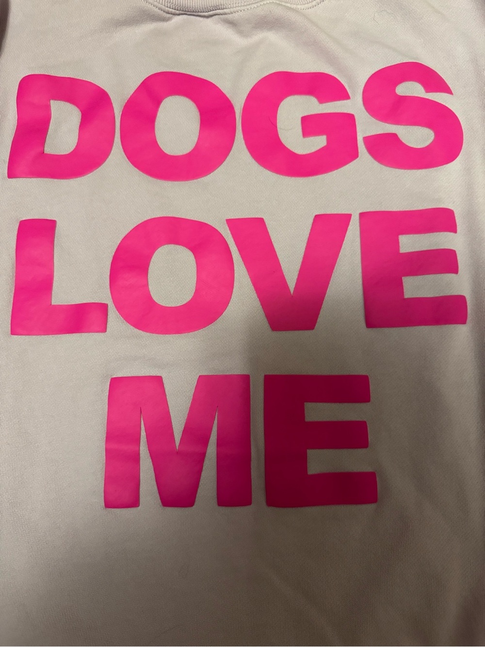 Wildfox Lavender Crewneck “dogs love me”